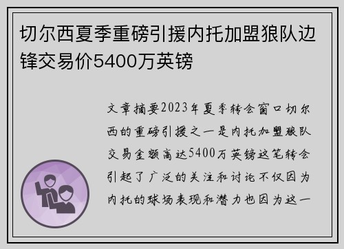 切尔西夏季重磅引援内托加盟狼队边锋交易价5400万英镑